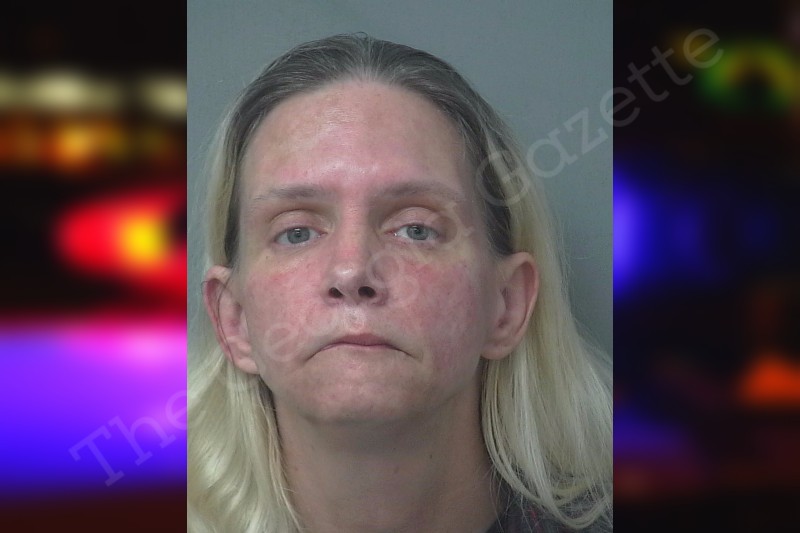 Christina Hartman Gwinnett County Jail Bookings