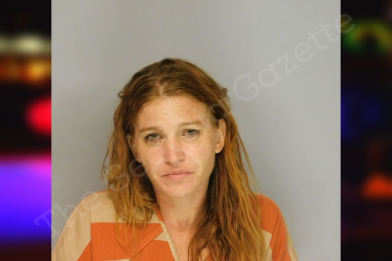 Ashley Hudson Hall County