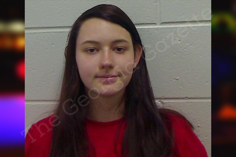 Kirsten Hunter — Bulloch County Jail Bookings