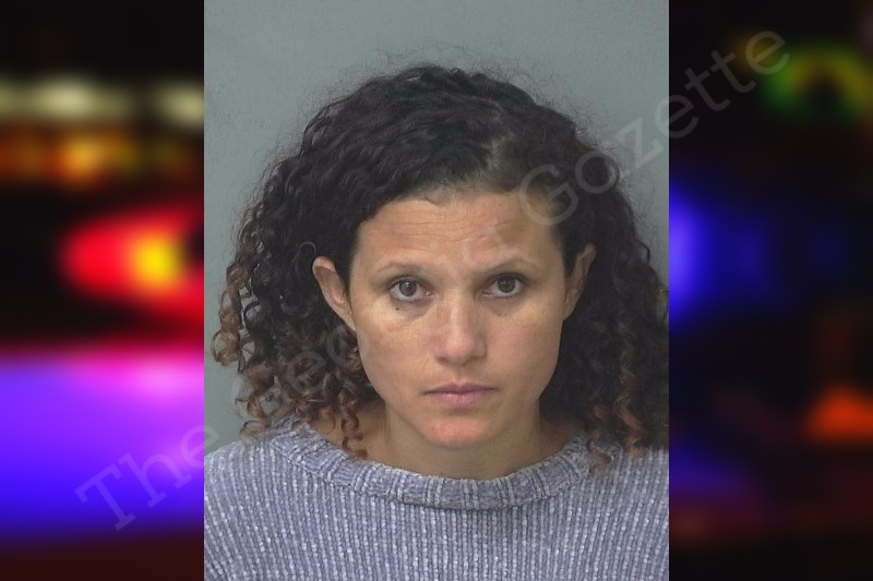 Yessica Perdomo — Gwinnett County Jail Bookings