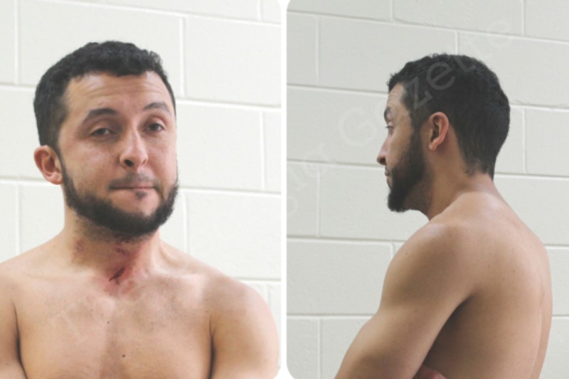 Ronald Rouse — Houston County Jail Bookings