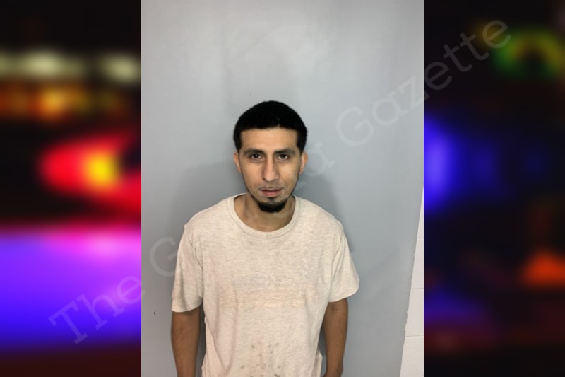 Alfredo Alvarado Hall County