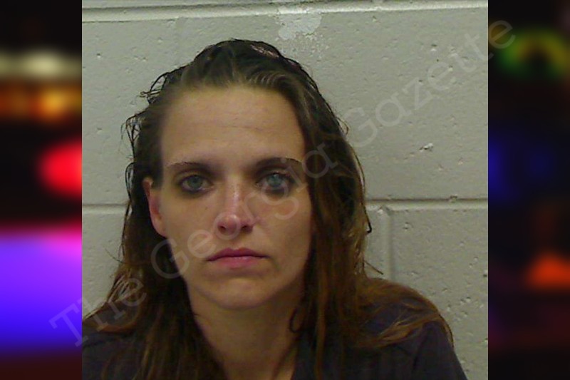 Jennifer Brinson Bulloch County