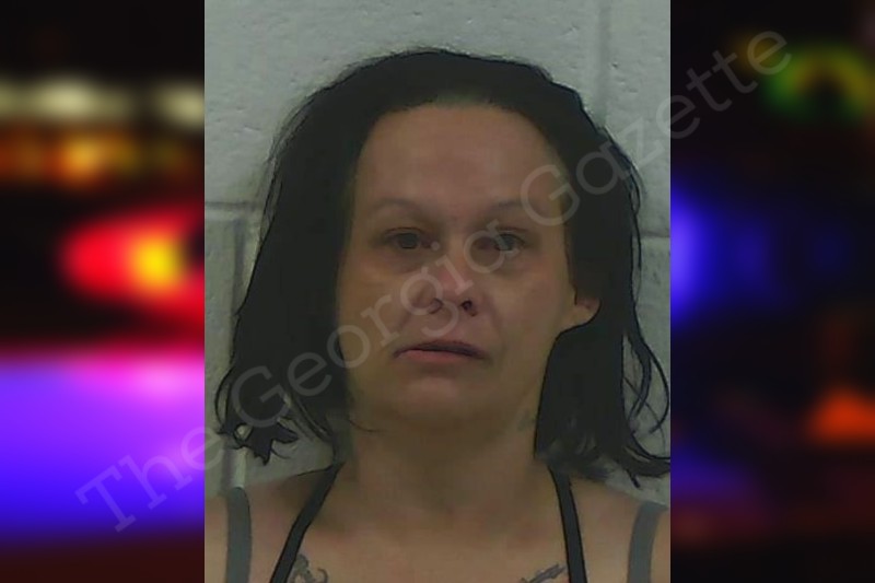 Brandy Carter Jackson County Jail Bookings