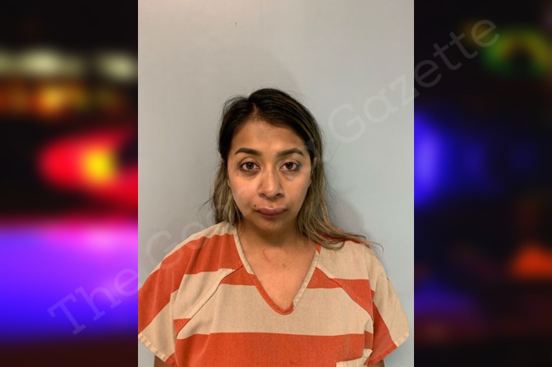 Monica Diaz-Arriaga | Hall County