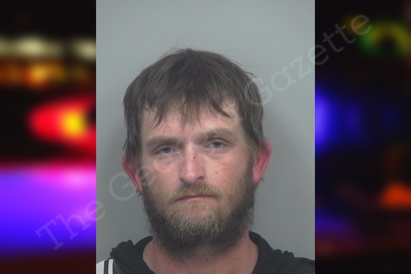 Tyler Drake — Gwinnett County Jail Bookings