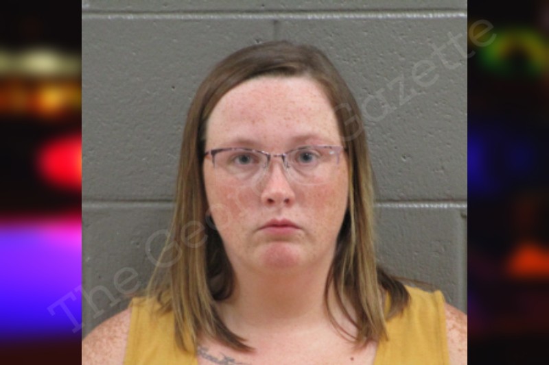 Crystal Houston Banks County