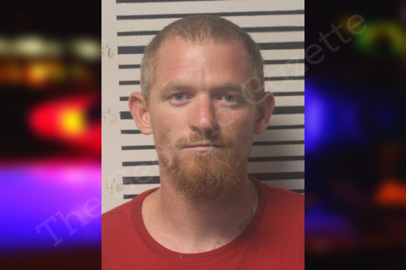 Justin King Toombs County