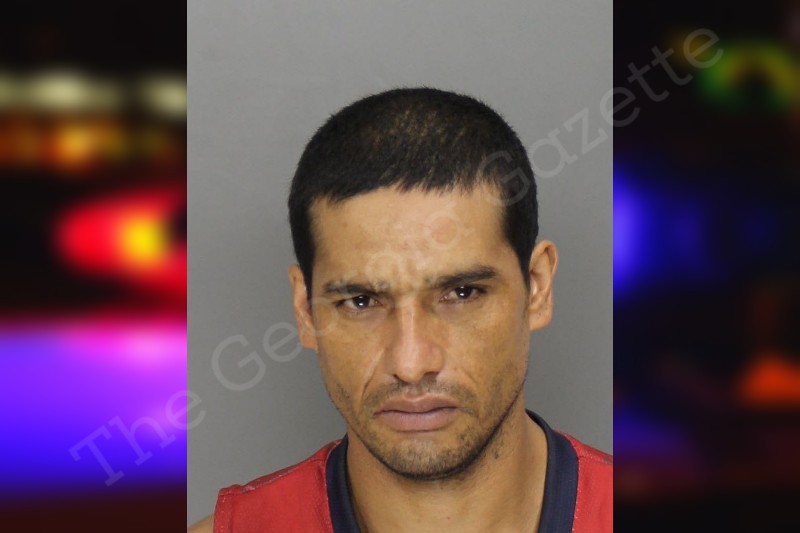 Mendoza Vera Cobb County