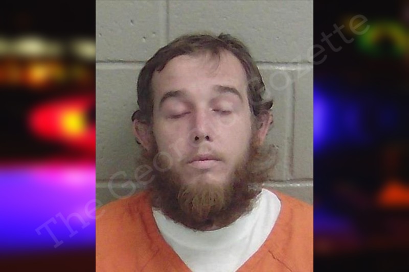 Andrew Ward Wayne County