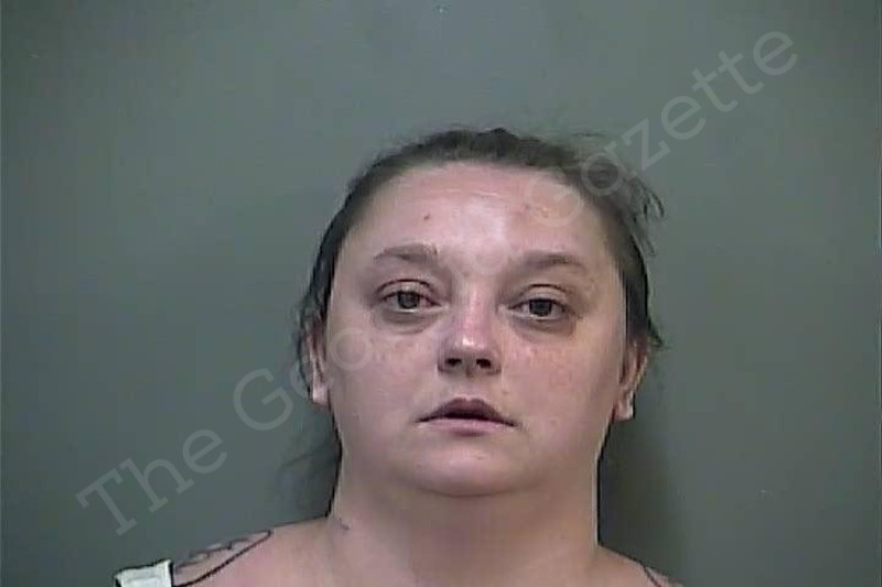 Patricia Broskey | White County Jail Bookings