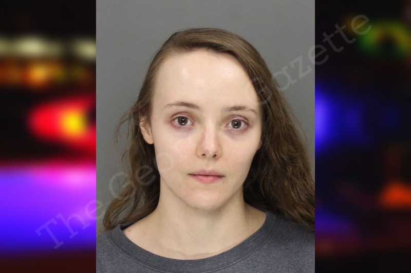 Brigette Carter Cobb County