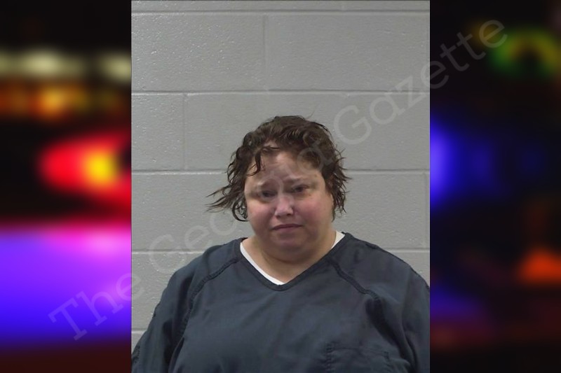 Stephanie Davis — Gilmer County Jail Bookings