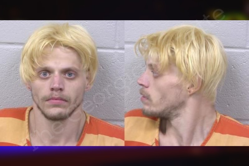 James Dupree Paulding County