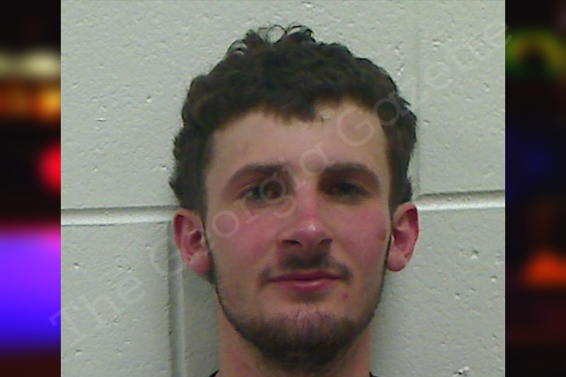 Marshal Edmonson Bulloch County Jail Bookings