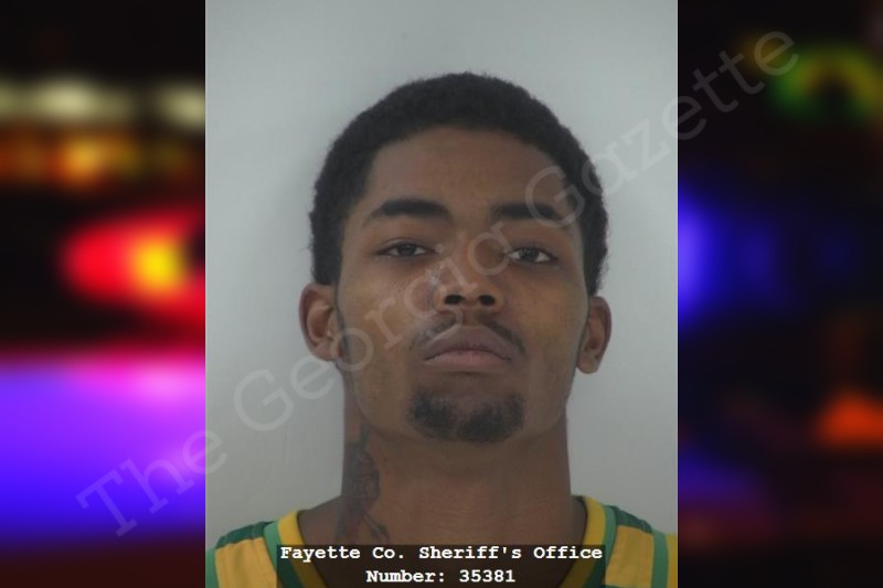 Elijah Fleming Fayette County