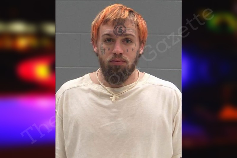 Jordan Sanford Baldwin County Jail Bookings