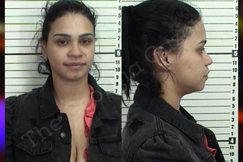 Katherine Vidal-Aracena — Camden County Jail Bookings