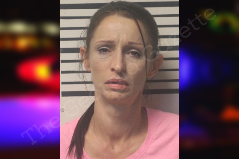 Patty White Toombs County Jail Bookings