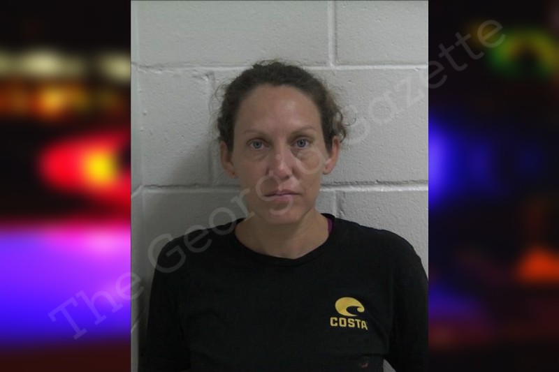 Danielle Wolford Decatur County Jail Bookings