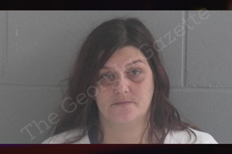 Tiffany Ashmore Brantley County