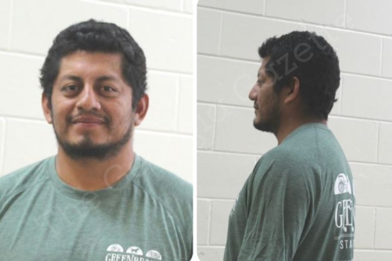 Daniel Guizar Moran Houston County Jail Bookings