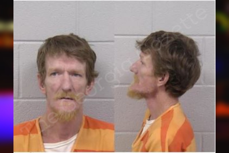 Brian Hembree — Paulding County Jail Bookings