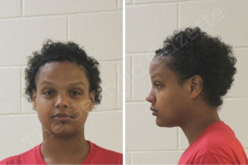 Olivia Lawson Houston County Jail Bookings olivia-lawson-houston-county-jail-bookings