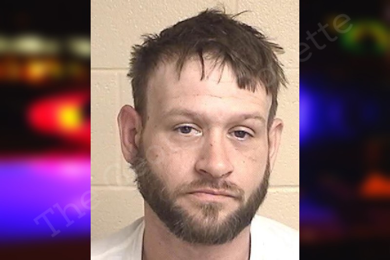 Brandon Payne Walker County brandon-payne-walker-county