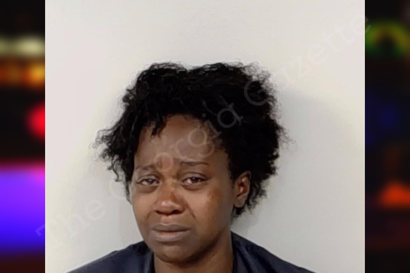 Christina Spicer Lowndes County Jail Bookings