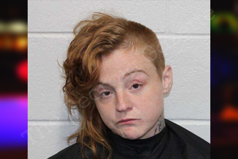 Jodi Wray Habersham County Jail Bookings