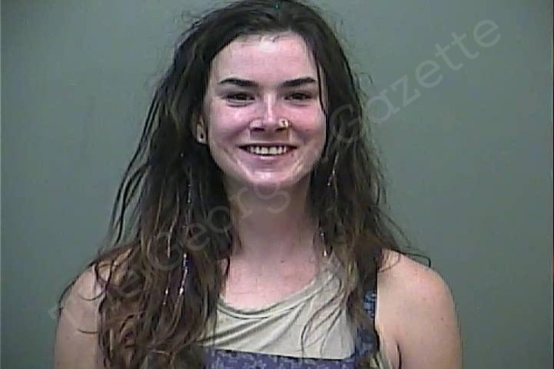 Adele Abernathy White County Jail Bookings