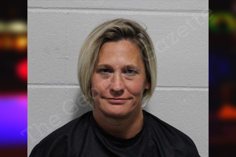 Amanda Collins — Habersham County Jail Bookings