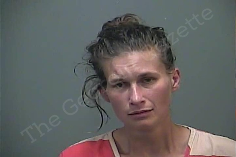 Chasity Dessecker | White County Jail Bookings