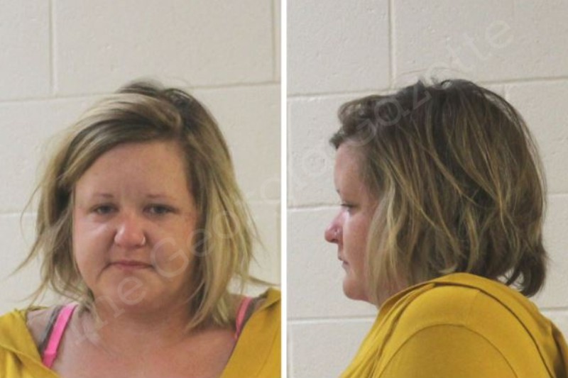 Callie Goolsby Houston County Jail Bookings