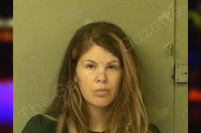 Sybil Mincey McIntosh County Jail Bookings