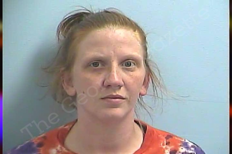 Lauren liddell dawson county jail bookings