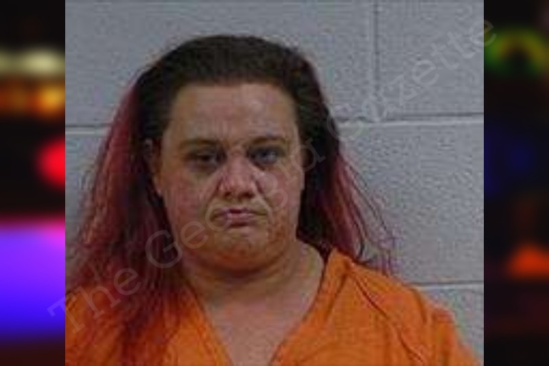 Lisa Reed Polk County