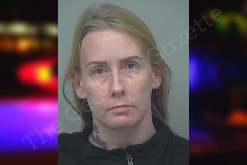 April Rodewig — Gwinnett County Jail Bookings