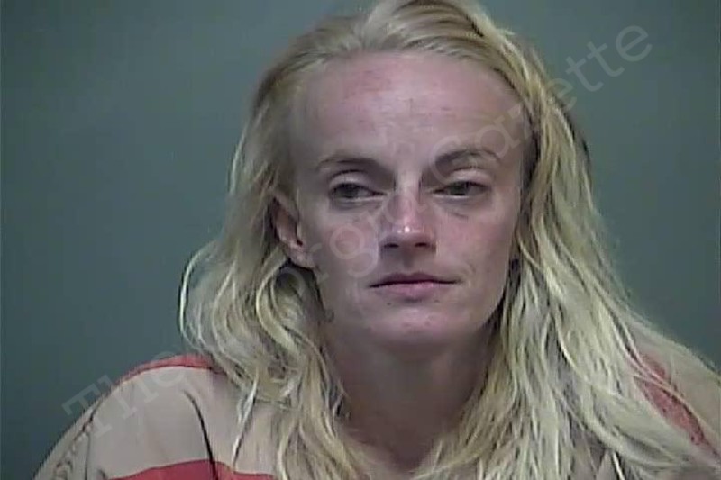 Leah Strickland White County Jail Bookings