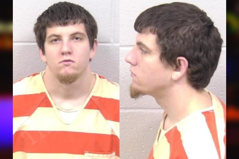 Austin Wynne Paulding County Jail Bookings