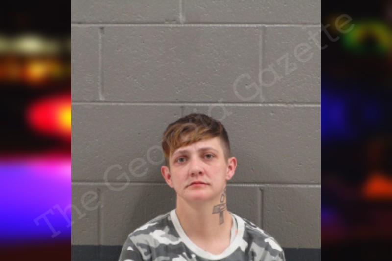 Brandy Collins Banks County