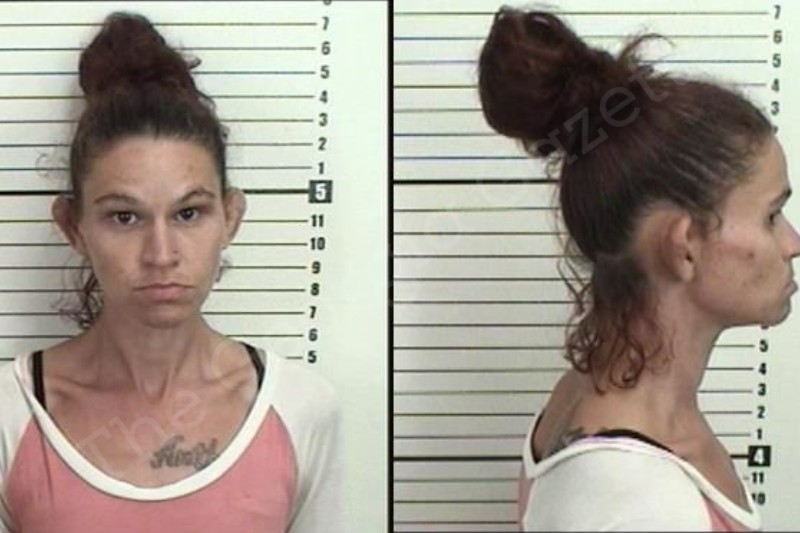 Amanda Fullard Camden County Jail Bookings amanda-fullard-camden-county-jail-bookings