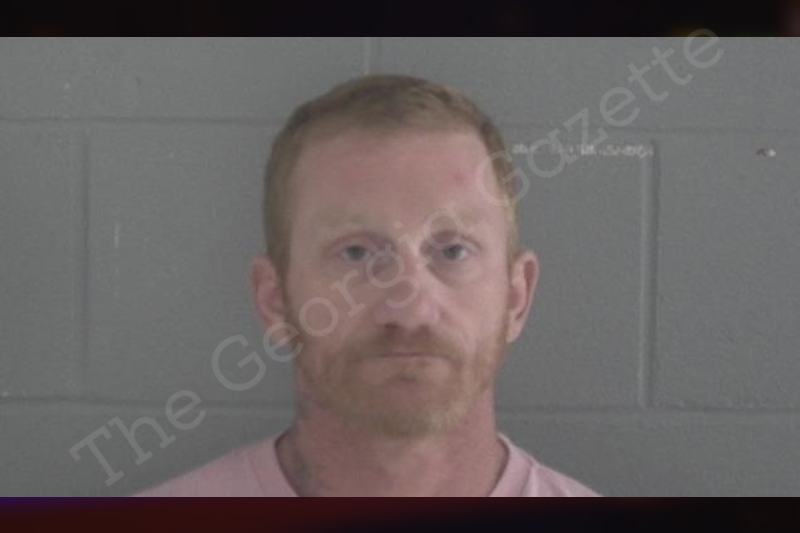 Wayne Hartley | Brantley County Jail Bookings