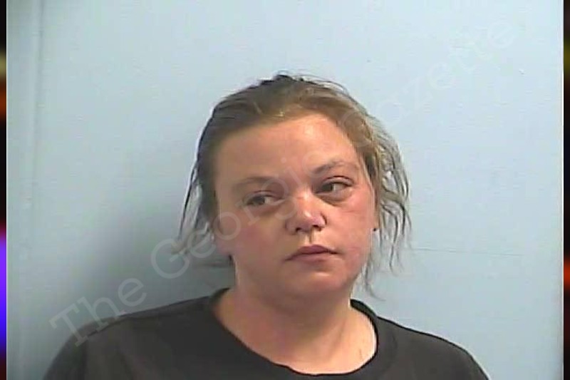 Chastity Hawkins | Dawson County Jail Bookings