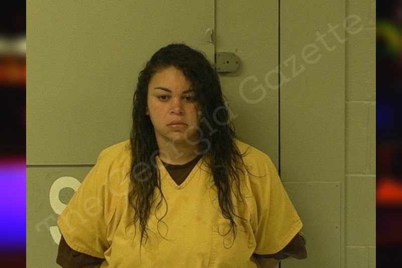 Karla gonzalez mcintosh county jail bookings