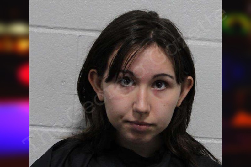 Lydia Rogers Habersham County Jail Bookings