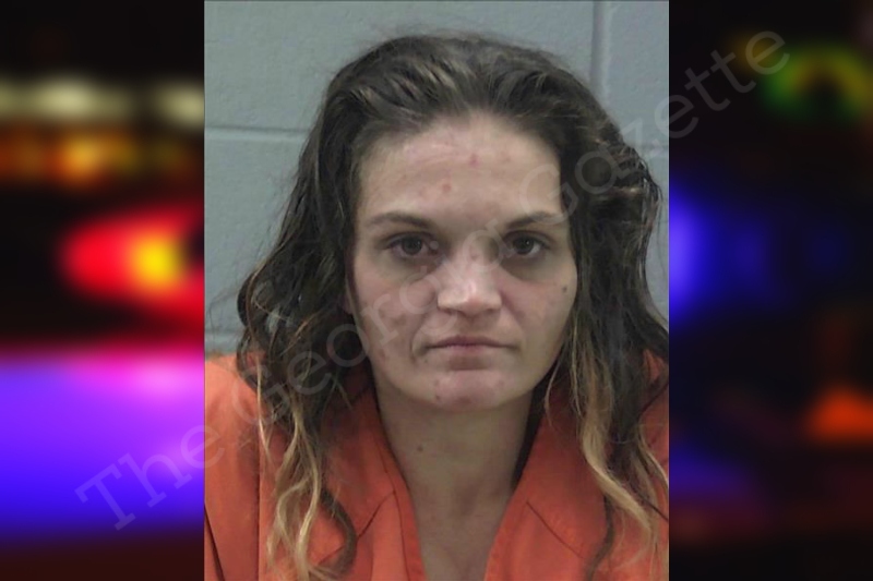 Diamond Wilkey - Madison County Jail Bookings