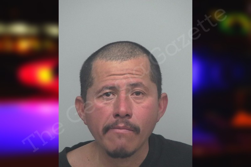 Roberto Chavez Guillen — Gwinnett County Jail Bookings