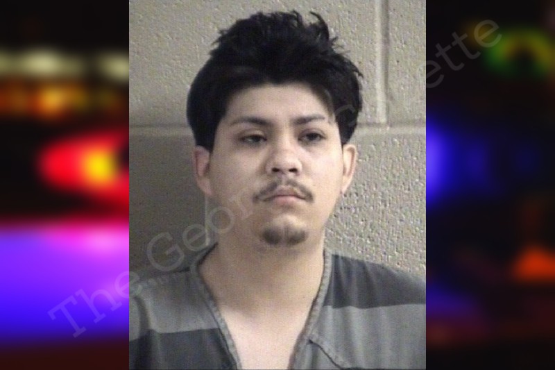 David Delgadillo Whitfield County